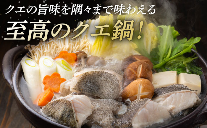 【全3回定期便】幻の魚 クエ 鍋 セット 800g 《対馬市》【海風商事】九州 長崎 対馬 ちり鍋 アラ [WAD032]