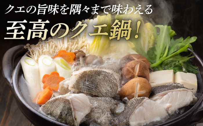 【全12回定期便】幻の魚 クエ 鍋 セット 800g 《対馬市》【海風商事】九州 長崎 対馬 ちり鍋 アラ [WAD034]