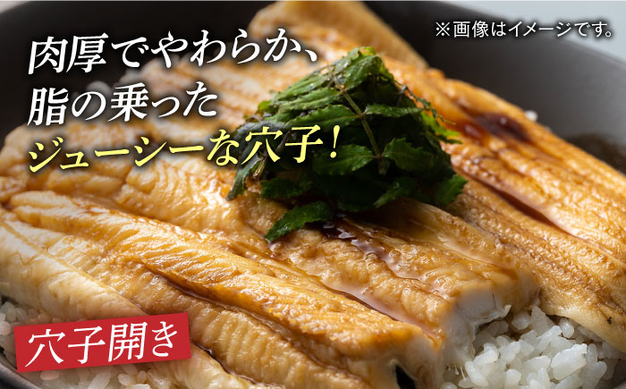 【全12回定期便】対馬 穴子 セット 500g《対馬市》【海風商事】国産 九州 長崎 煮穴子 白焼き [WAD040]