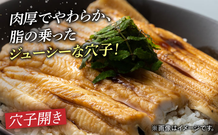 【全6回定期便】対馬 穴子 W セット 1kg《対馬市》【海風商事】国産 九州 長崎 煮穴子 白焼き [WAD042]