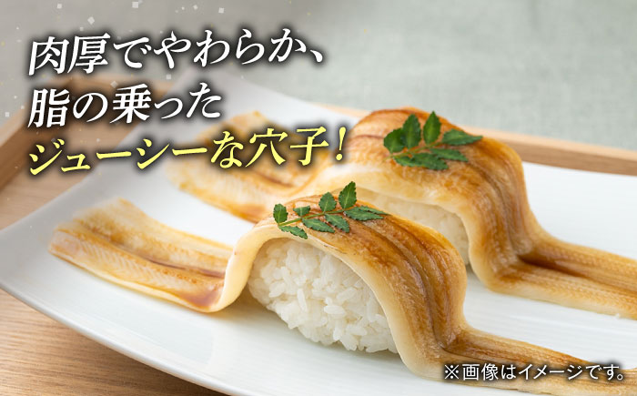 【全6回定期便】対馬 穴子 開き 800g《対馬市》【海風商事】アナゴ 国産 九州 長崎 [WAD045]