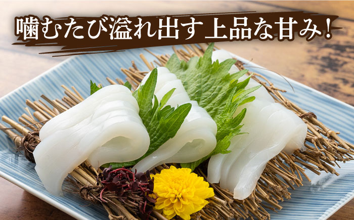 【全2回定期便】剣先 イカ 刺身 セット 1kg《対馬市》【海風商事】あかいか まるいか 九州 長崎 対馬 刺身 冷凍 ギフト 海鮮 魚介 魚介類 [WAD051]