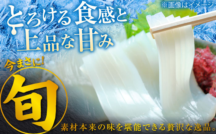 ヤリイカ お刺身用 500g 《対馬市》【海風商事】 小分け 刺身 いか イカ ヤリイカ 新鮮 海鮮 冷凍 [WAD053]