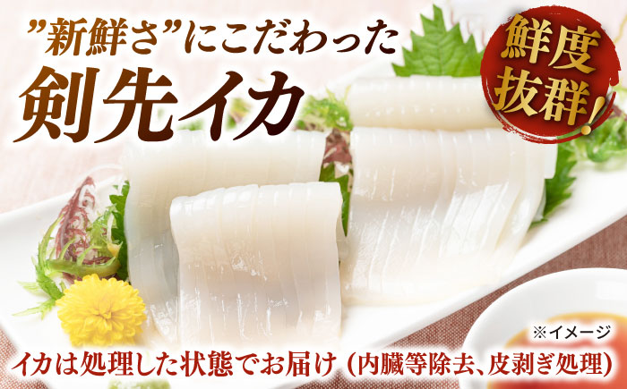 剣先イカ 750g(約6～8本) セット【丸徳水産】《対馬市》鮮度抜群 新鮮 ケンサキイカ シロイカ 下処理済 刺身 BBQ 惣菜 天ぷら フライ 海鮮 [WAE012]