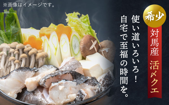 【12/17入金分まで年内発送】使い道いろいろ！ 活〆 クエ （ アラ ） 切身大 《 対馬市 》 【 対馬逸品屋 】 海鮮 高級 鍋 おもてなし [WAF013]