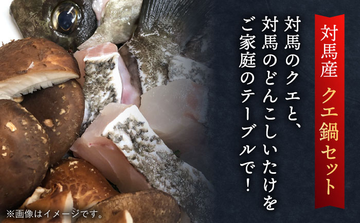 【12/17入金分まで年内発送】スープ が絶品！ クエ と（ アラ ）と しいたけ の 鍋セット 2《 対馬市 》【 対馬逸品屋 】無添加 新鮮 冷凍 鍋 海鮮 [WAF019]