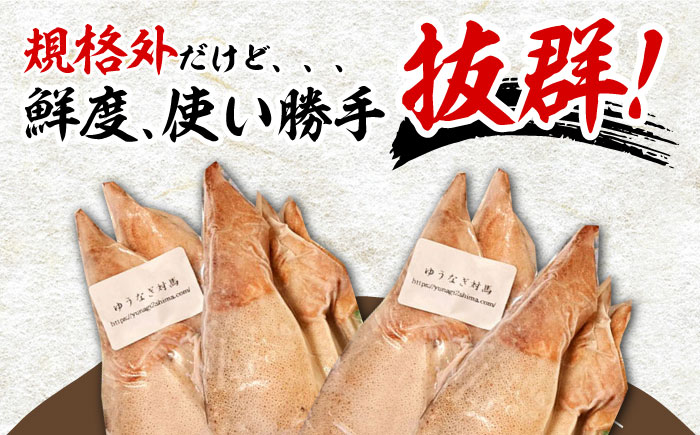 ふぞろい の 烏賊(コイカ) たち 2024《対馬市》【ゆうなぎ対馬】イカ いか 生冷凍 新鮮 簡単調理 海鮮 魚介 煮物 揚げ物 焼き物 [WAG022]