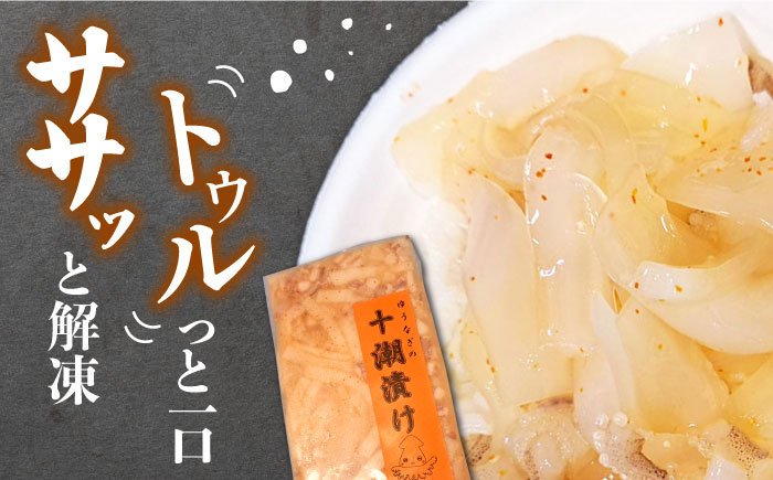 ゆうなぎ の 十潮(としお)漬け《対馬市》【ゆうなぎ対馬】イカ おかず 簡単 惣菜 ご飯に合う 時短調理 冷凍 [WAG023]