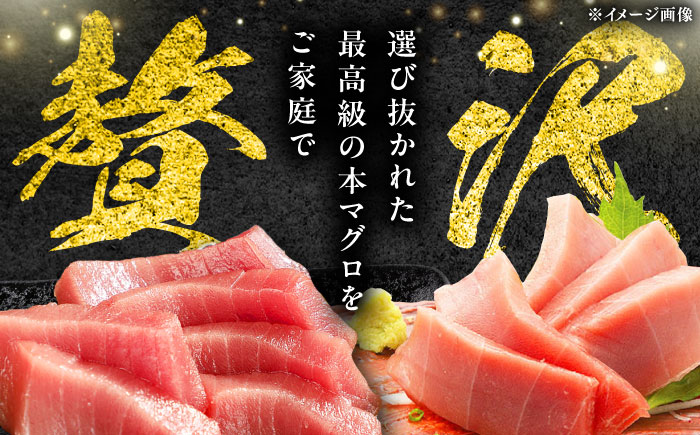 【12/11入金分まで年内発送】対馬産 本マグロ 3種 計450g（赤身/中トロ/ネギトロ）《対馬市》【対海】[WAH002] マグロ まぐろ 鮪 本鮪 本マグロ 養殖 トロ 中トロ 中とろ 赤身 ねぎとろ ネギトロ たたき 刺身 冷凍 海鮮 魚 柵 お祝い 贈答
