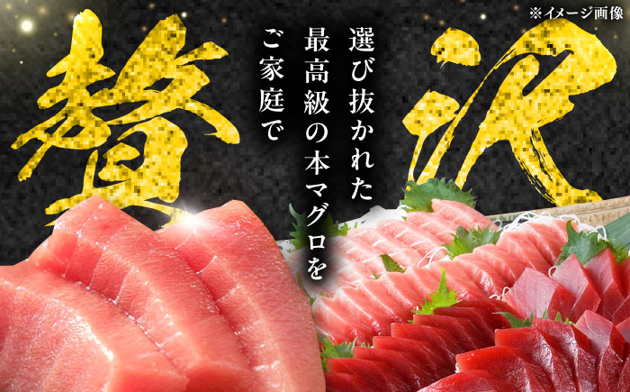 【12月中にお届け】対馬産 養殖 本マグロ 4種 ( 赤身 1パック / 中トロ 3パック / 大トロ 1パック / ネギトロ 2パック)《対馬市》【対海】 マグロ 鮪 本鮪 [WAH004-12]