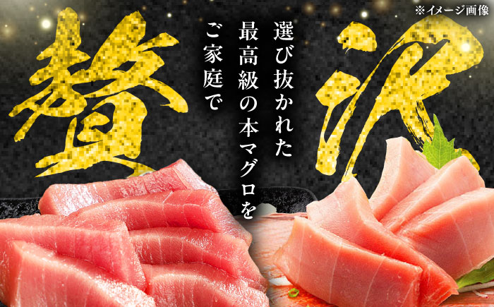 【12月中にお届け】対馬産 養殖 本マグロ 中トロ 500ｇ(3パック)《対馬市》【対海】 冷凍 新鮮 直送 マグロ 鮪 まぐろ 本鮪 中とろ [WAH018-12]