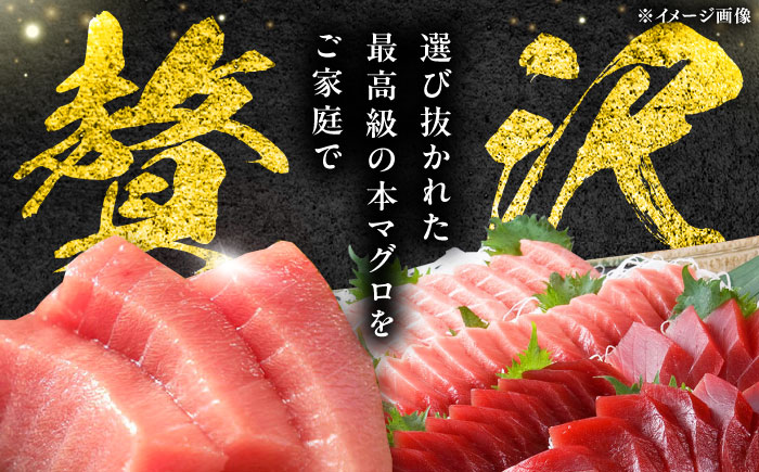 【全3回定期便】 対馬産 本マグロ 4種 計1.1kg（赤身/中トロ/大トロ/ネギトロ）《対馬市》【対海】 冷凍配送 食べ比べ 新鮮 手巻き寿司 海鮮丼 [WAH037]