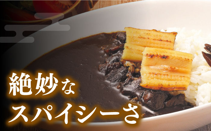 FISH COOK BOOK　対馬防人あなごカレー　4個《 対馬市 》【 うえはら株式会社 】 優勝商品 対馬 あなご 穴子 カレー スパイス 自衛隊 コラボ おみやげ [WAI081]