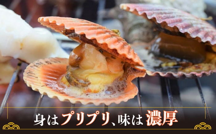 ひおうぎ貝 20枚 《 対馬市 》【 うえはら株式会社 】 新鮮 海産物 貝 [WAI085]