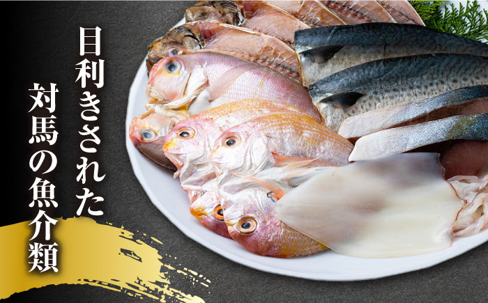 【全12回定期便】対馬 早田流 干物 セット 13枚《対馬市》【真心水産】甘鯛 レンコ 一夜干し [WAK010]