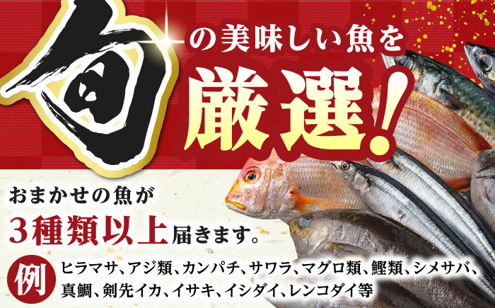 【小分けで便利！】 対馬 旬の刺身セット 1kg（85g×12パック） 【真心水産】《対馬市》 新鮮 海鮮 冷凍配送 刺身 島魚 海鮮丼 [WAK022]