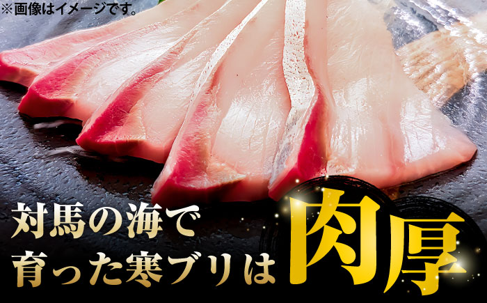 対馬 寒ブリしゃぶ 約1kg（130g×8パック）《対馬市》【真心水産】新鮮 肉厚 簡単 ブリ 鰤 しゃぶしゃぶ 天然 刺身 海鮮 もう1品 [WAK023]