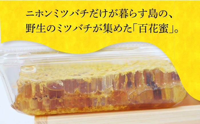 対馬 はちみつ 採れたて 巣蜜 つしま ひのき 重箱 ギフト《対馬市》【特定非営利活動法人 對馬次世代協議会（対馬コノソレ）】九州 長崎 スイーツ [WAM014]