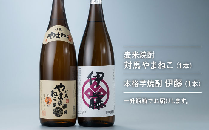 【全12回定期便】芋焼酎 麦米焼酎 本格焼酎一升瓶 2本 セット 《対馬市》【白嶽酒造株式会社】 [WAN032]