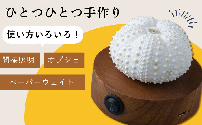充電式ウニホタルテーブルランプ《対馬市》【一般社団法人MIT】対馬 インテリア 間接照明 手作り [WAP007]