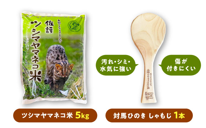 佐護 ツシマヤマネコ 米 5kg × 対馬ひのき しゃもじ セット《対馬市》【一般社団法人MIT】 玄米 対馬 精米 常温 産地直送 [WAP019]