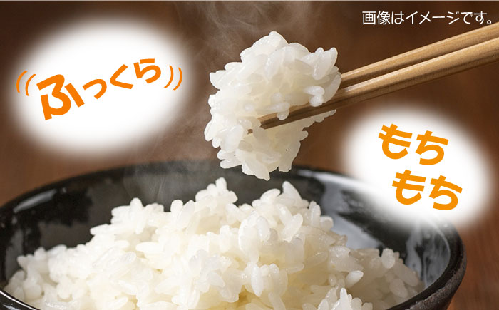 【2025年10月頃より順次発送】佐護 ツシマヤマネコ 米 5kg×2 《対馬市》【一般社団法人MIT】 お米 玄米 対馬 精米 新米 減農薬 猫 動物保護 対馬 10kg [WAP023]