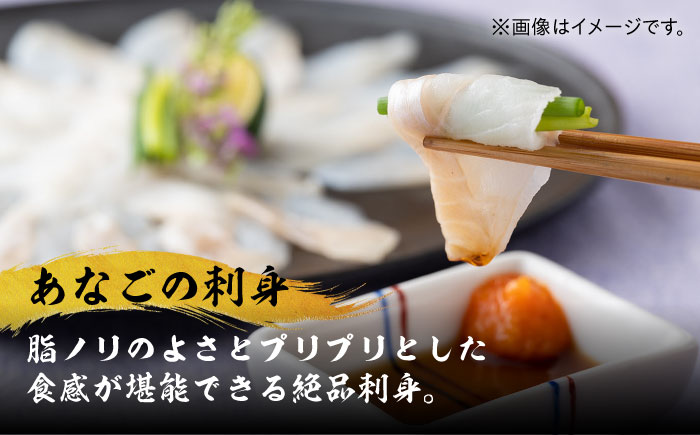 対馬産 べっぴんあなご 詰め合わせ 《 対馬市 》【 桐谷商店 】 対馬 新鮮 ふわふわ 穴子 刺身 海産物 魚介 [WAQ001]