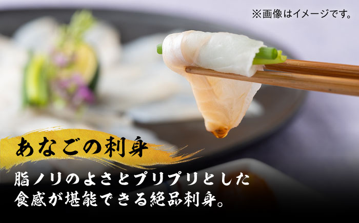 【全12回定期便】べっぴんあなご・トロの華の詰め合わせ《対馬市》【桐谷商店】対馬 新鮮 マグロ 鮪 赤身 中トロ 大トロ アナゴ 穴子 魚介 刺身 鮮度抜群 ご褒美 [WAQ011]