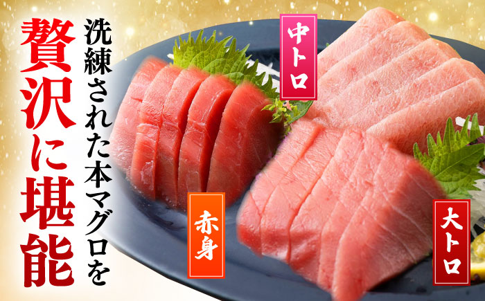 対馬産 本マグロ 500g（赤身200g、中トロ200g、大トロ100g）≪対馬市≫【桐谷商店】 トロの華 対馬 新鮮 マグロ 大トロ 鮪 刺身 鮮度抜群 [WAQ055]