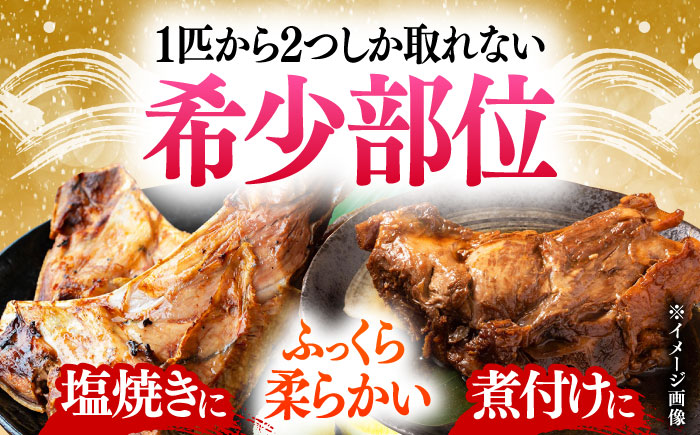 【全6回定期便】対馬産 本マグロ カマ 500g ≪対馬市≫【桐谷商店】 トロの華 対馬 新鮮 マグロ かま 鮪 [WAQ093]