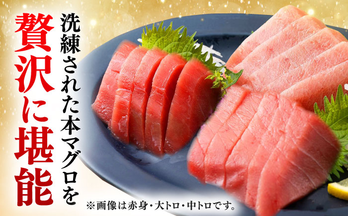 【全12回定期便】対馬産 本マグロ 赤身200g ≪対馬市≫【桐谷商店】 トロの華 対馬 新鮮 マグロ 赤身 鮪 刺身 [WAQ114]