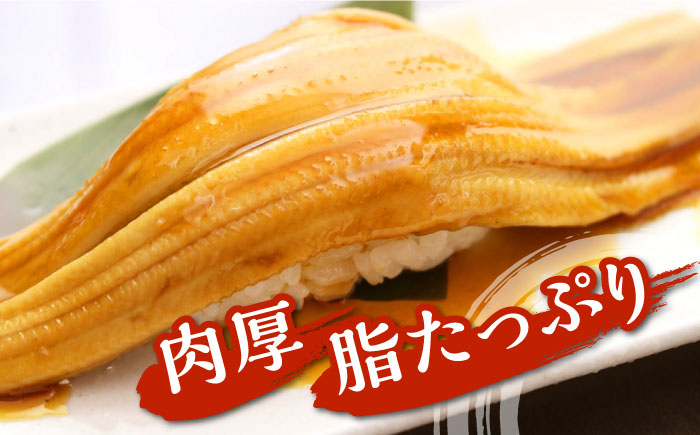 対馬産　西のとろあなご　にぎり寿司　3PAC《対馬市》【対馬水産】 新鮮 冷凍 寿司 名物 時短 簡単調理 穴子 穴子寿司 あなご 海鮮 魚介 すし 希少 [WAV013]