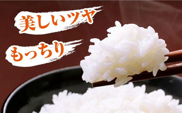 対馬産 佐護米 5kg 《対馬市》【サイキ】 白米 米 お米 ご飯 ごはん 5kg 5キロ 産地直送 ランキング 送料無料 贈答用 未検査米 [WAX043]