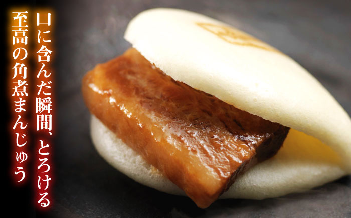 【全2回定期便】大とろ 角煮まんじゅう 10個(1箱)【 岩崎本舗 】《 対馬市 》冷凍 角煮 角煮まん 個包装 豚まん [WBC022]