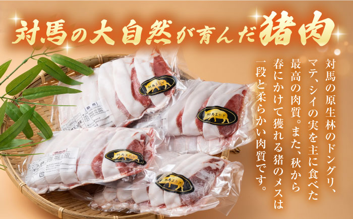 猪肉メスの極上ローススライス【株式会社対馬またぎ】《対馬市》 BBQ 焼肉 鍋 猪肉 肉 ジューシー おつまみ [WBD003]