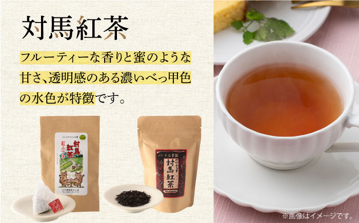 対馬紅茶Cセット《対馬市》【つしま大石農園】 [WBE006]