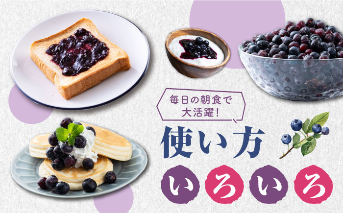 対馬産 ブル－ベリ－ ＆ ジャム セット《対馬市》【さほの里ファーム】 ブルーベリー フルーツ 詰め合わせ 朝食 新鮮 果実 ギフト [WBG007]