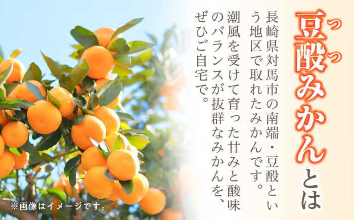 対馬 つつみかん 10kg【対馬農業協同組合】《対馬市》豆酘みかん