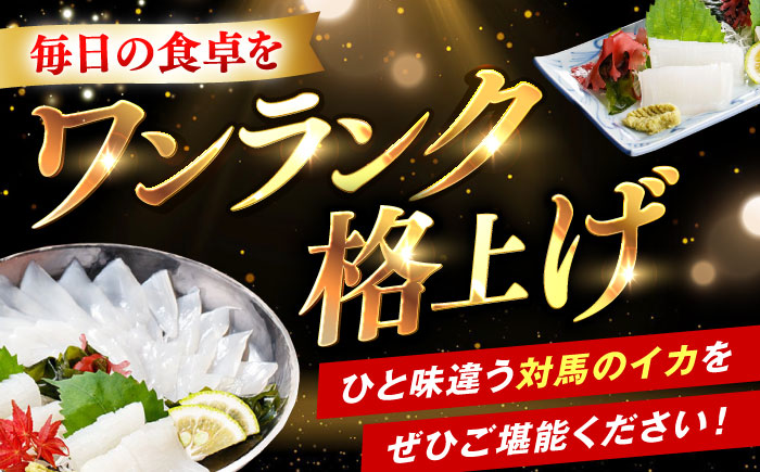 イカ三昧セット 《対馬市》【いか吉工房】 いか イカ ヤリイカ スルメイカ 刺身 一夜干し 海鮮 [WBO002]