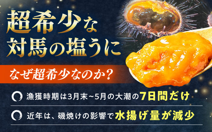 漁師の 塩ウニ 2本 【漁昇丸水産】《対馬市》うに 瓶 ビン 海鮮 冷凍 [WBU003]