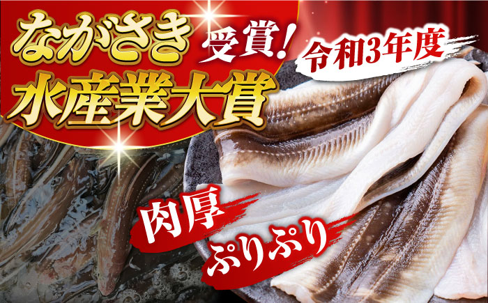 対馬産 天然あなごの開き500g×2《対馬市》【すし処慎一】国産 肉厚 穴子 アナゴ 新鮮 冷凍 白焼き 天ぷら   [WCO002]