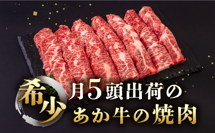 長崎和牛 あか牛 焼肉用 500g《対馬市》【株式会社Tsukushi】 対馬 牛 和牛 焼肉 冷凍配送 [WCR005]