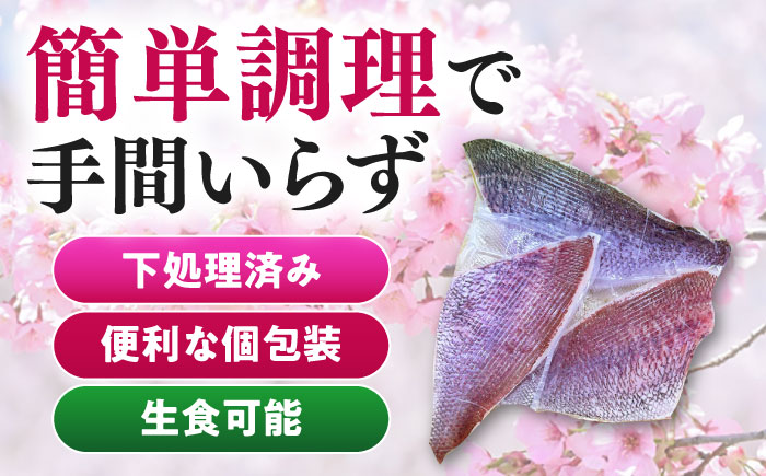 天然 桜鯛 フィーレ 1kg 《対馬市》【対馬新鮮組】 下処理済 鯛 真鯛 サクラダイ 新鮮 お祝い 冷凍配送 産地直送 [WCS002]