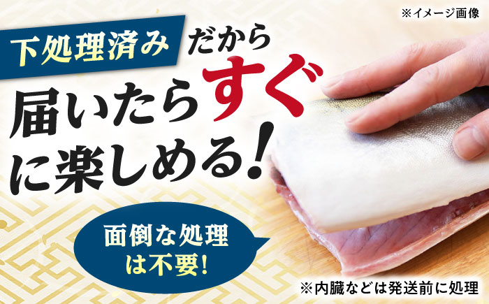 【12/29発送】真空！寒ブリ（5kg～6kg）《対馬市》【対馬新鮮組】ぶり ブリ 鰤 ぶりしゃぶ しゃぶしゃぶ 刺身 鮮魚 海鮮 魚 対馬 長崎 国産 新鮮 冷蔵 鍋 海鮮鍋 年末 正月 年内発送 年内配送 年末配送 時間指定 [WCS008]