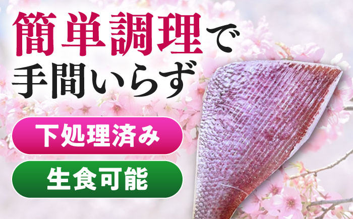 天然 桜鯛 フィーレ 500g 程度 《対馬市》【対馬新鮮組】 下処理済 鯛 真鯛 サクラダイ 新鮮 お祝い 冷凍配送 産地直送 [WCS013]