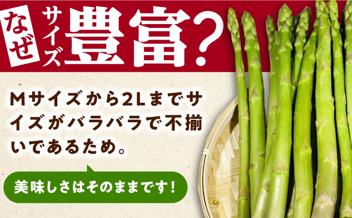 【3月中旬以降順次発送】朝採れアスパラガス2kg  《対馬市》【農家くんのアスパラファーム】  冷蔵 アスパラ とれたて 新鮮 野菜 産地直送 [WCT002]