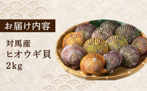 対馬 2枚貝 ヒオウギ 貝 2kg [WAD002]