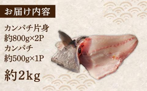 対馬カンパチ３枚卸 《対馬市》【海風商事】 [WAD010]