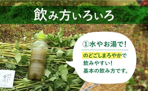 島 の めぐみ 対州 そば 青汁 30日 トライアル [WAM006]