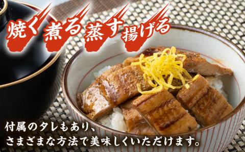 対馬産 穴子 詰め合わせ 5PAC [WAV001]